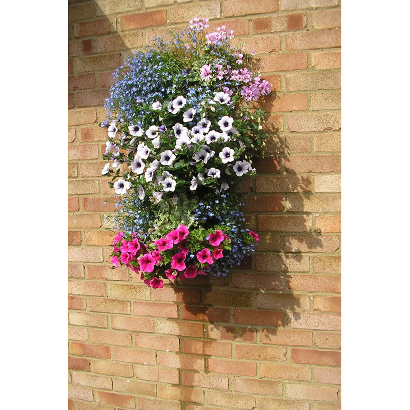 Symple Stuff Penman Wall Planter & Reviews Wayfair